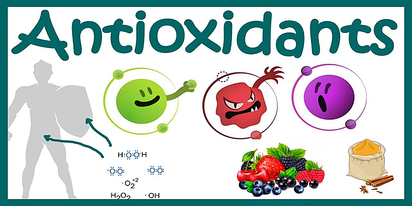 抗酸化/Antioxidant