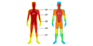 体温/body temperature