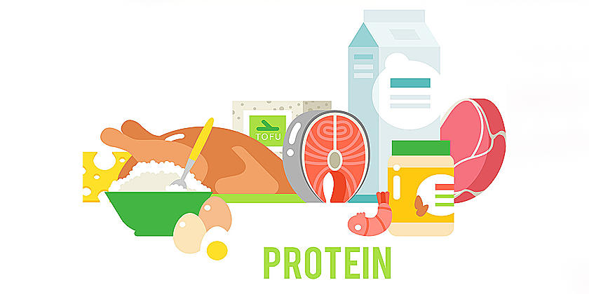 プロテイン/Protein