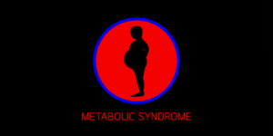 メタボ/Metabolic syndrome