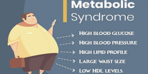 メタボ/Metabolic syndrome