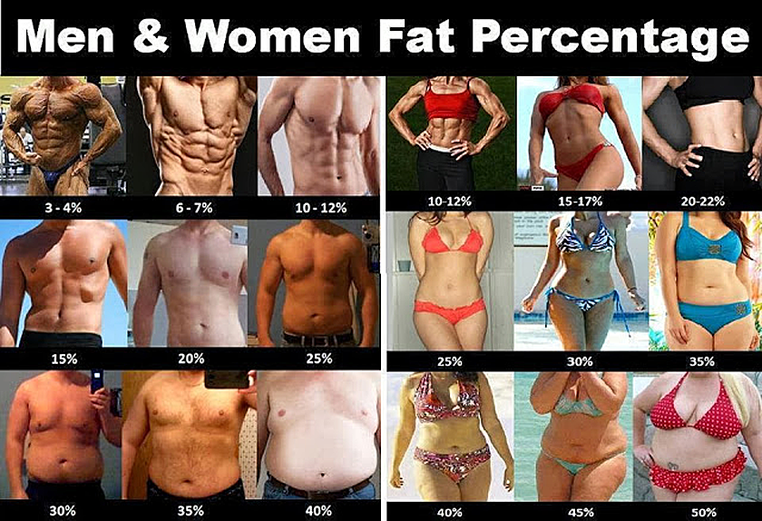 体脂肪率