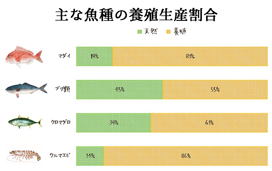 主な魚種の養殖生産割合