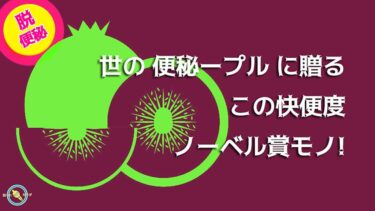 便秘解消 便秘に良い食べ物 キウイフルーツ