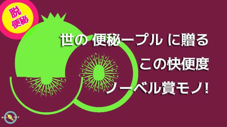 便秘解消 便秘に良い食べ物 キウイフルーツ