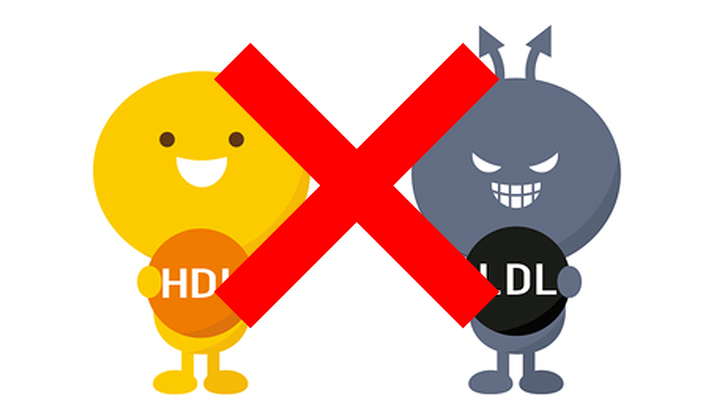 正しいHDL LDL