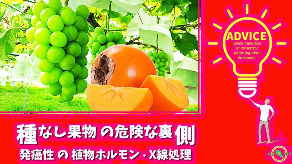 種なし柿 種なしぶどう の危険性