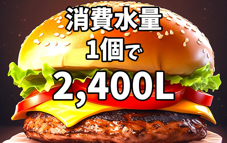 ハンバーガー1個分の消費水量