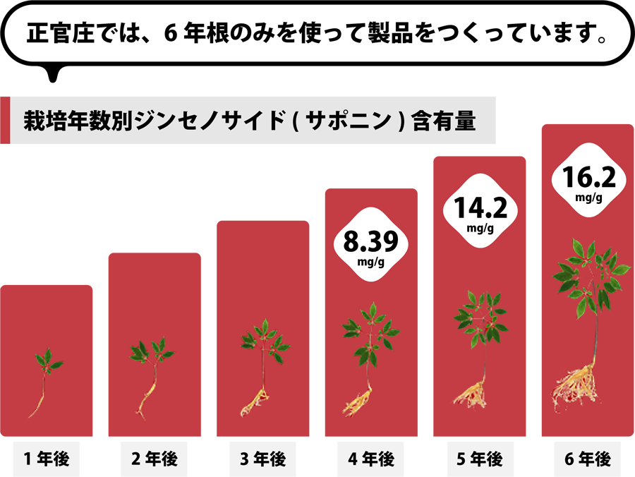 栽培方法による ジンセノサイド / サポニン 含有量