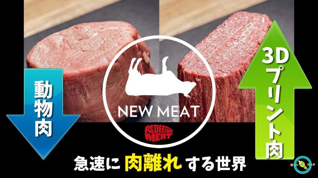  3Dプリント代替肉 3Dプリント肉 