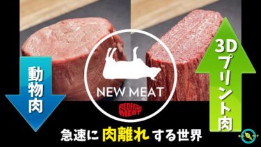 3Dプリント代替肉 3Dプリント肉