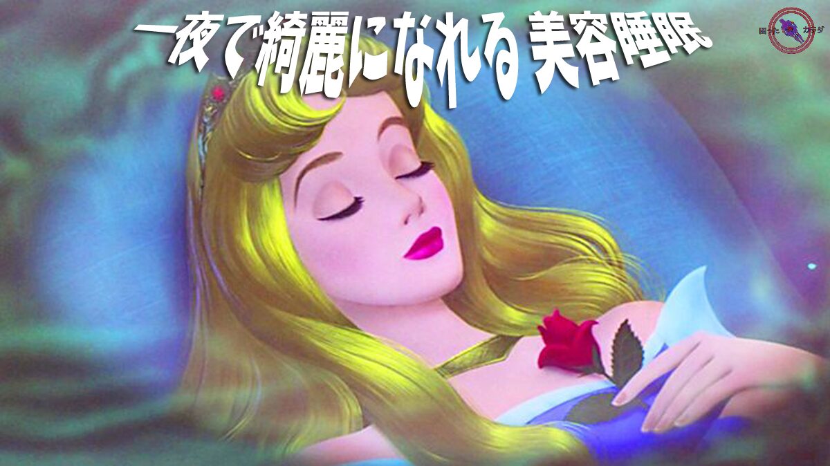 美容睡眠