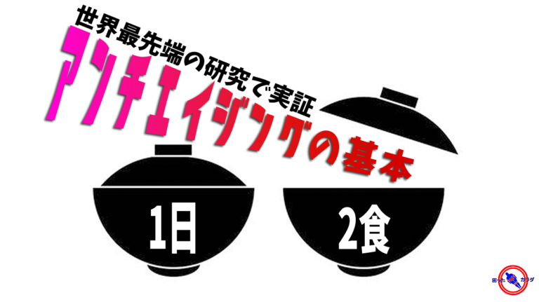 1日2食 は アンチエイジング の基本