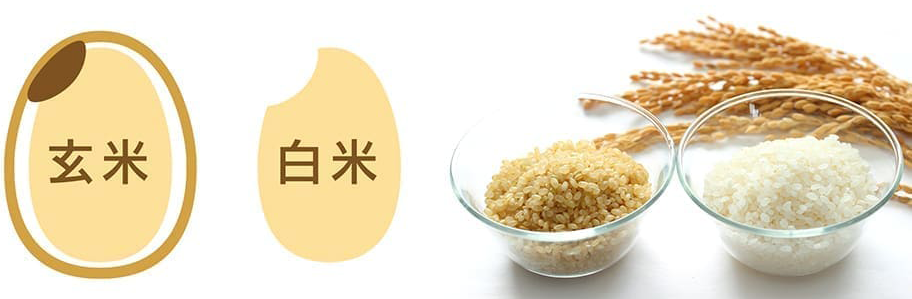 玄米と白米