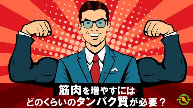 筋肉を増やすにはどのくらいのタンパク質が必要？