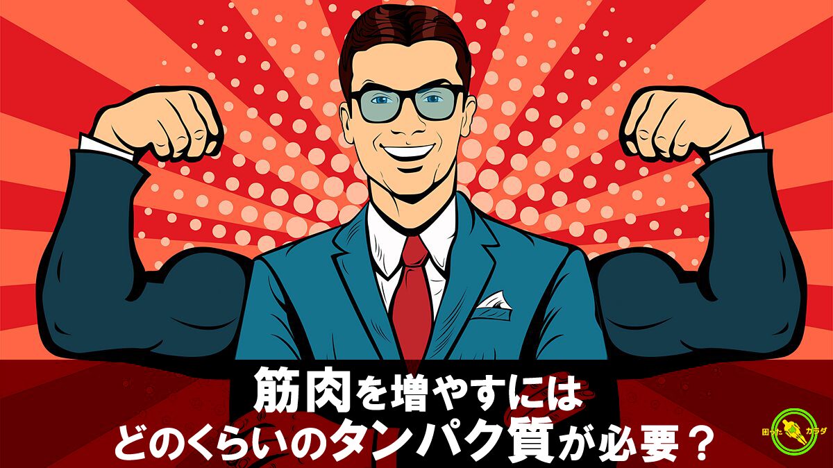 筋肉を増やすにはどのくらいのタンパク質が必要？