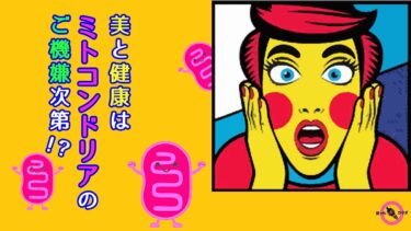 美 と 健康 は ミトコンドリア のご機嫌次第
