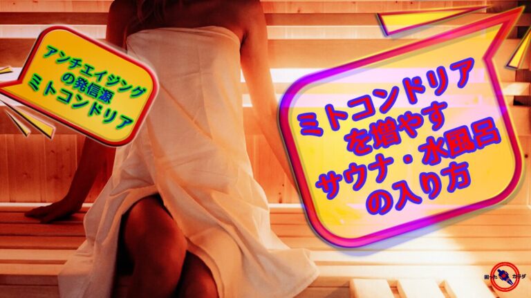 【 ミトコンドリア を増やす サウナ ・ 水風呂 の入り方 】 アンチエイジング の発信源 ミトコンドリア