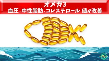 オメガ3 で 血圧 ・ 中性脂肪 ・ コレステロール 値が改善 ※ 高血圧 と 高脂血症 の関係