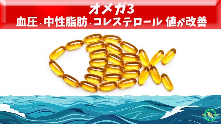 オメガ3 で 血圧 ・ 中性脂肪 ・ コレステロール 値が改善 ※ 高血圧 と 高脂血症 の関係