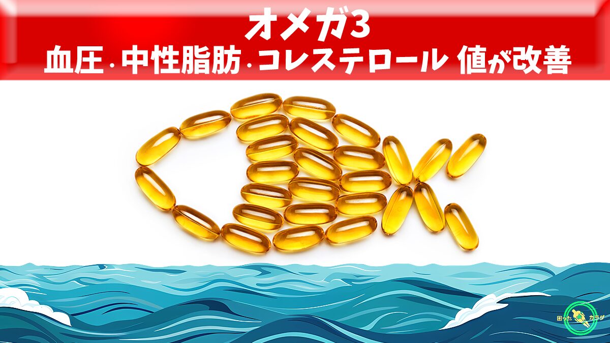オメガ3 で 血圧 ・ 中性脂肪 ・ コレステロール 値が改善 ※ 高血圧 と 高脂血症 の関係