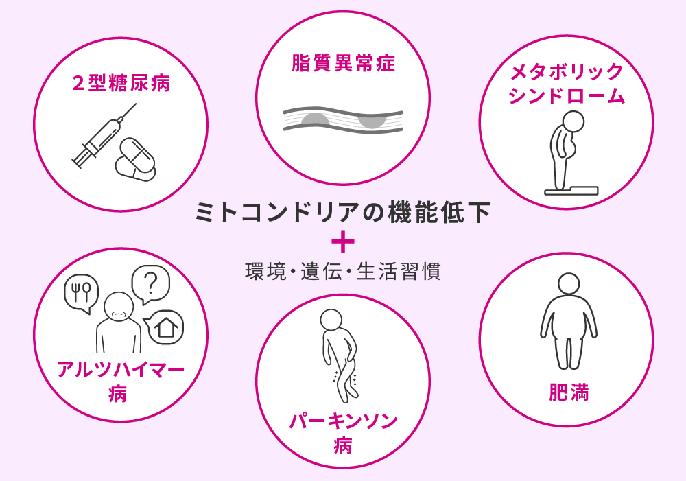 ミトコンドリアの機能低下