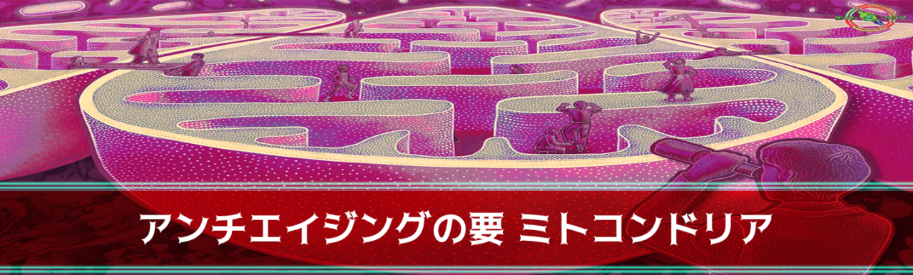 困ったカラダ アンチエイジング の要 ミトコンドリア