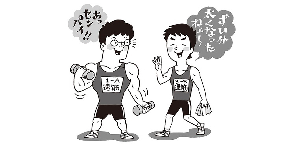 遅筋と速筋