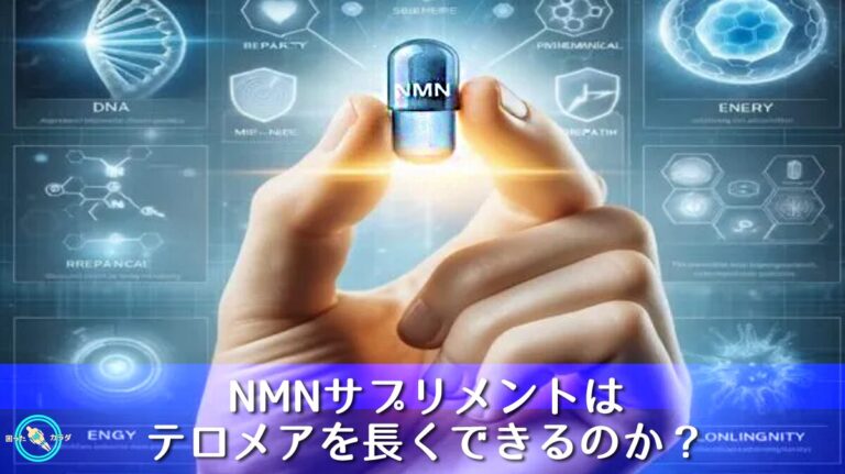 NMNサプリメントはテロメアを長くできるのか？