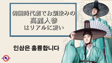 ★ 韓国時代劇 でお馴染みの 高麗人参 は凄い