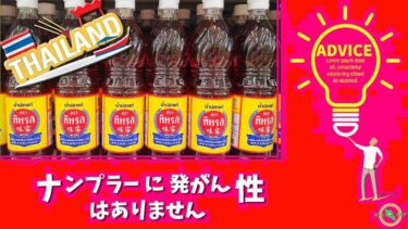 ナンプラー　発がん性