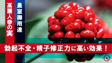 【 皇室で飲まれていた 高麗人参の実 】 勃起不全 ・精子修正力 に高い効果 !
