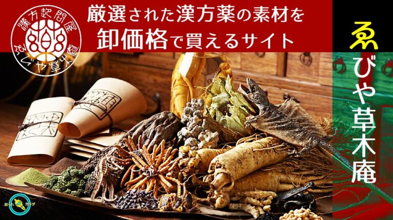 原料問屋ゑびや ゑびや草木庵
