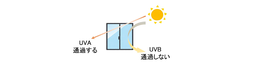 窓越しの日光浴