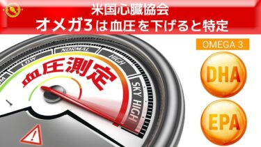 米国心臓協会　 オメガ3 は 血圧 を下げ 最適摂取量 1日2～3g と特定