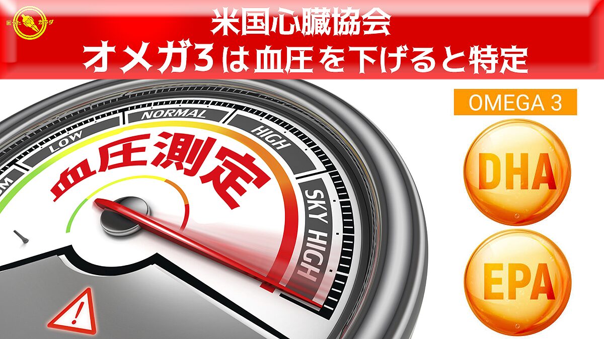 米国心臓協会　 オメガ3 は 血圧 を下げ 最適摂取量 1日2～3g と特定
