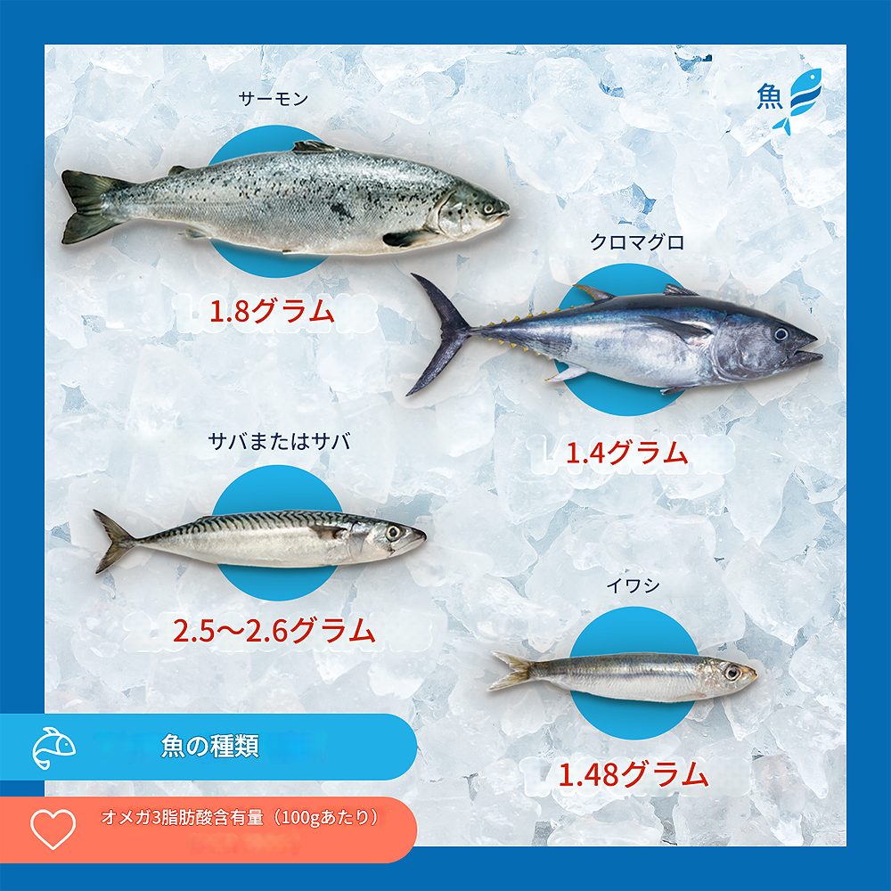 魚のオメガ3