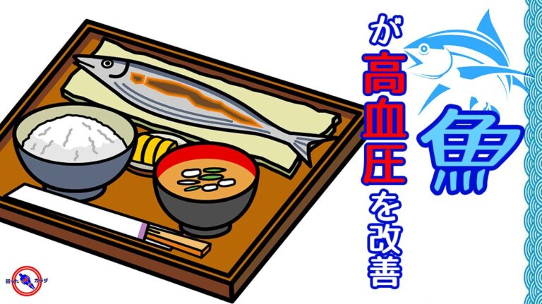 【 魚 が 高血圧 を改善 】目安は 魚 1日100g以上 オメガ3 　 EPA ・ DHA の効果
