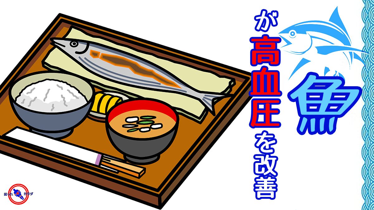 【 魚 が 高血圧 を改善 】目安は 魚 1日100g以上 オメガ3 EPA ・ DHA の効果