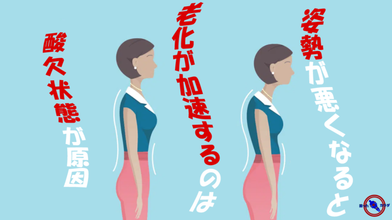 姿勢 と 呼吸 と 酸欠のミトコンドリア