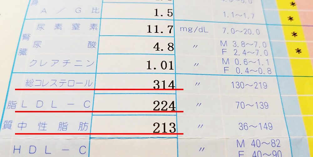 血液検査結果2024