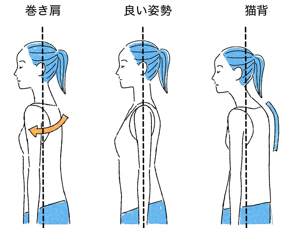姿勢 チェック ※ 猫背 や 巻き肩 ⇒ 活性酸素 を増やし 老化 を促進 | 健康と長寿