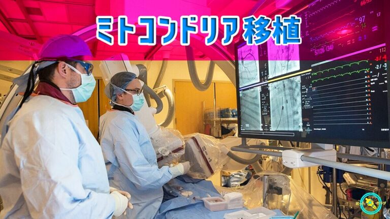 【 ミトコンドリア移殖 】万策尽きた 脳 や 心臓 の治療とアンチエイジング