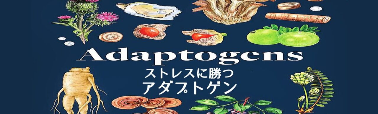 困ったカラダ　アダプトゲンとストレス