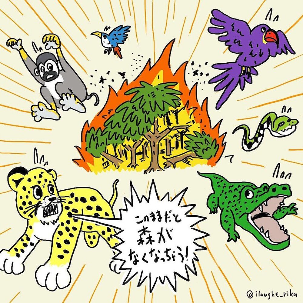 工場型畜産-が引き起こす-森林伐採