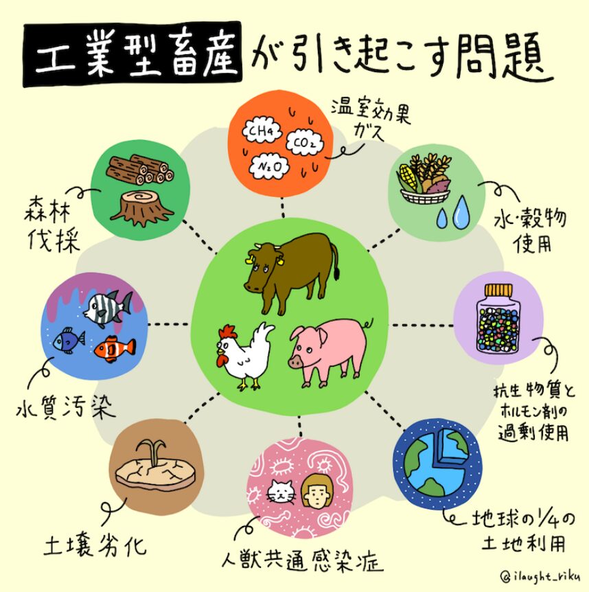工業型畜産 が引き起こす問題