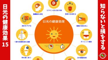 日光の健康効果15