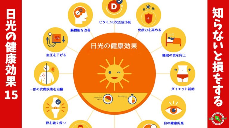 日光の健康効果15
