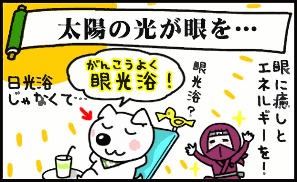 眼光浴