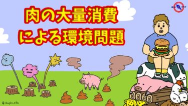 肉 の 大量消費 による 環境問題